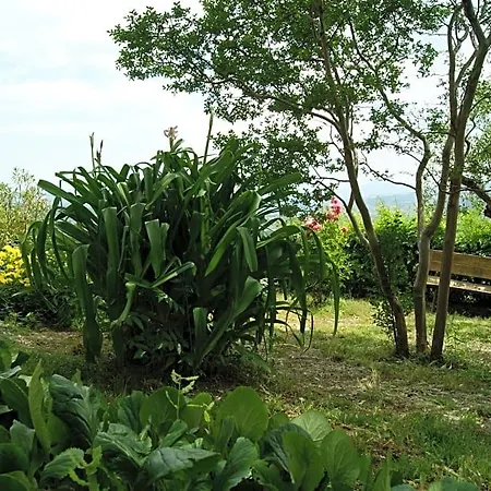 Bed & Breakfast Il Querceto Muro Lucano