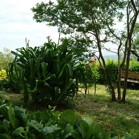 Il Querceto Frühstückspension Muro Lucano