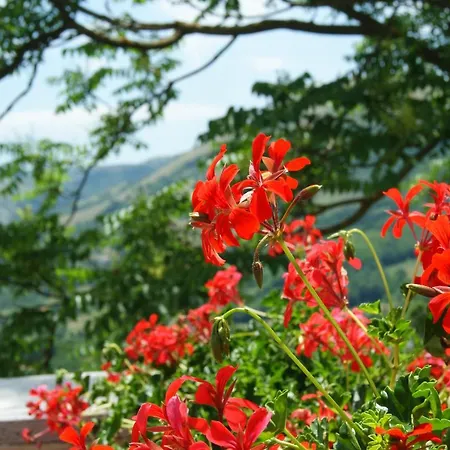 Il Querceto Bed & Breakfast Muro Lucano