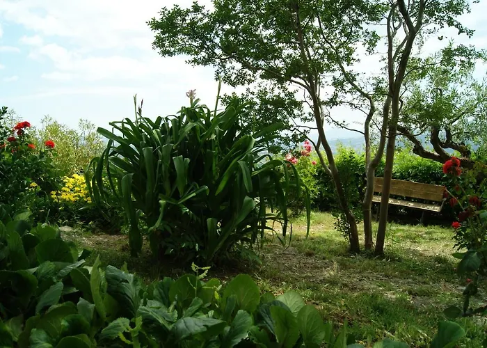 Il Querceto Bed & Breakfast Muro Lucano