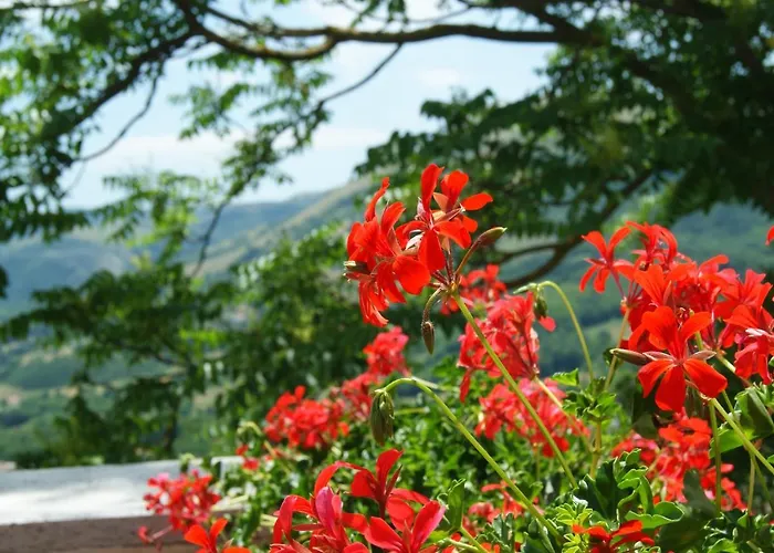 Il Querceto Frühstückspension Muro Lucano